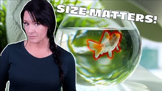 Does Aquarium SIZE Matter? A DUMMIES Guide To Fish Tank Size!
