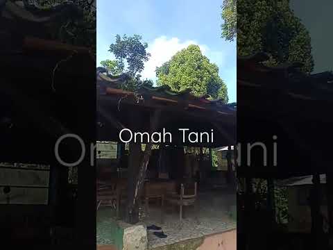 Omah Tani 2