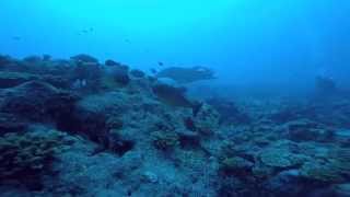 Deeppro Systems In Maldives 2015 Hd