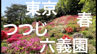 ４月　つつじ　六義園　ー　12ヶ月の東京