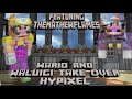 Wario and waluigi take over hypixel feat themathewflames