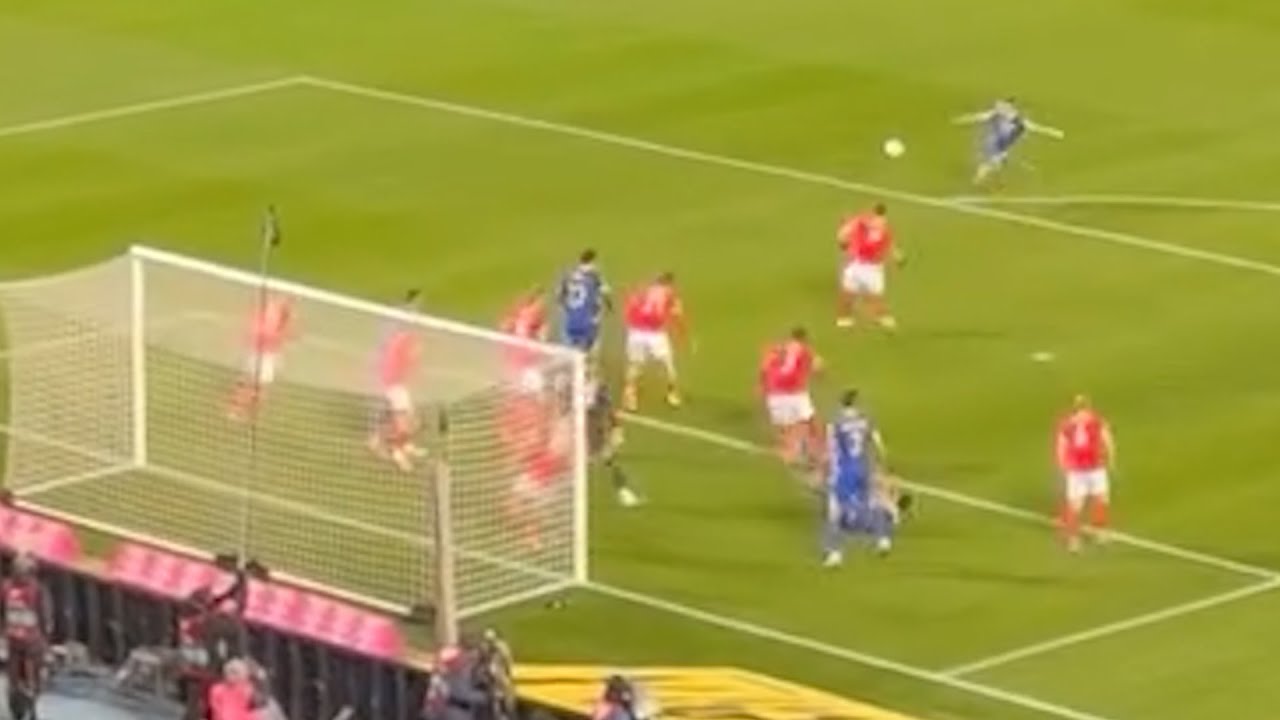 Austria vs Bosnia and Herzegovina 0-1, Haris Tabaković Goal - UEFA World Cup Qualifiers