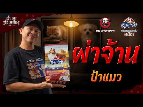 Pha Jan (Forbidden Love) • Aunt Maew | Hidden Voice Legends | Sponsored by Kaniva Cat and Dog Food