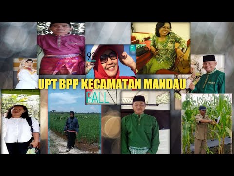 UPT BPP KECAMATAN MANDAU