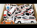 Tomica Ambulance &amp; Fire Truck Mini Cars Tackle a Hill: Exciting Emergency Driving Test