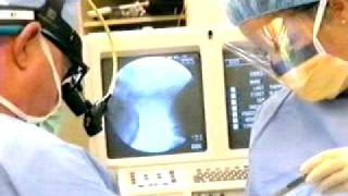 The New Bay Medical