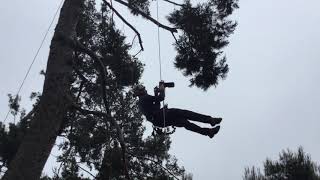 Tree climbing with the Ronin Lift