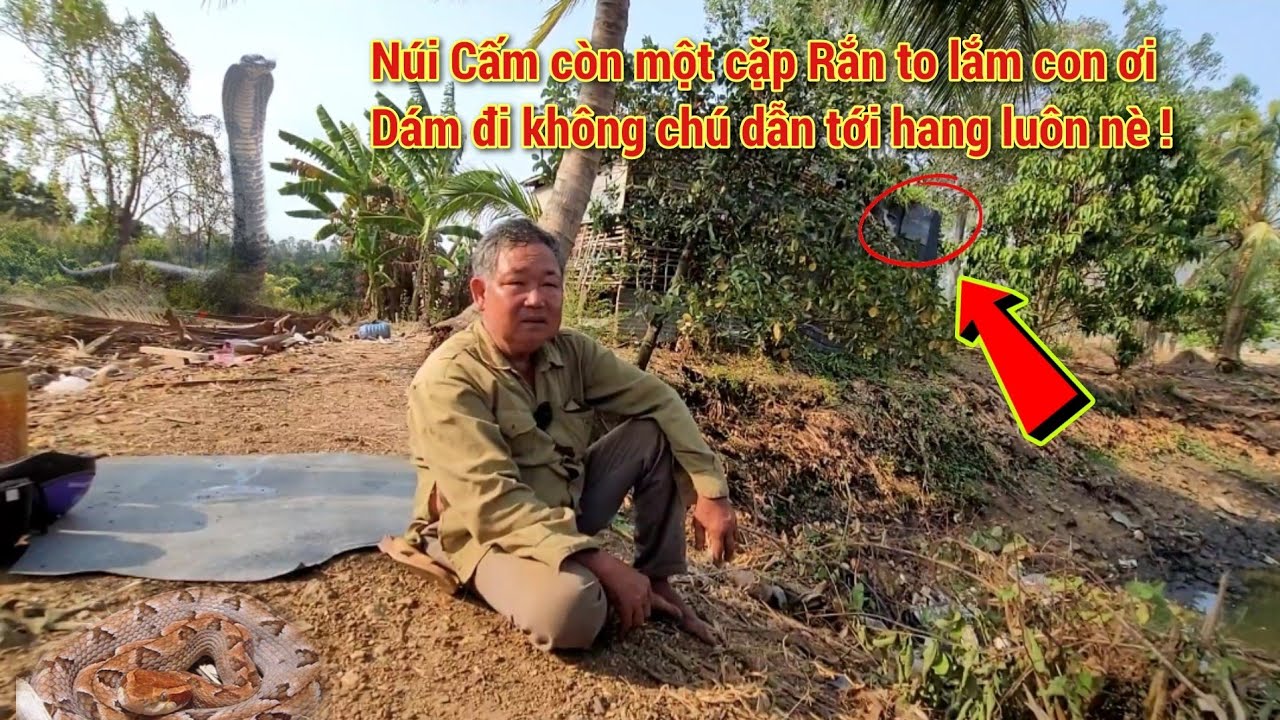 В сумерках на горе Кэм с мужчиной произошёл «ужасный» инцидент. Узнайте, почему улитка постоянно ...