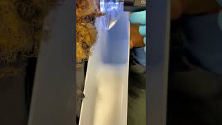 Earigator Action And You Know A Little Extra Squirt Dont Hurt