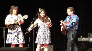 WILLIAMSON BRANCH - Never Grow Old