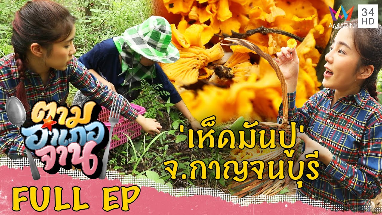 เข้าป่าหา 'เห็ดมันปู' จ.กาญจนบุรี | ตามอำเภอจาน | 19 พ.ย.65 Full EP
