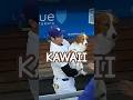 1️⃣ This is Decoy, Shohei Ohtani’s precious pup 🐕✨⚾💙17🏆💐