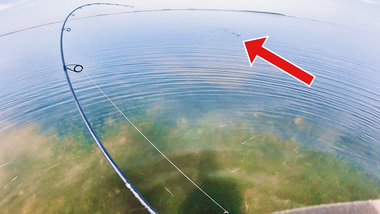 Southern BAY FISHING Trip (STX REDFISH Hammers LURE)