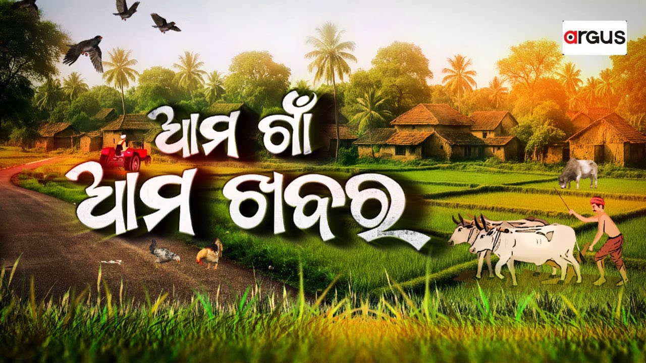 🔴Live | Ama Gaon Ama Khabar | ଚନ୍ଦାହାଣ୍ଡି ରେ ଆଳୁ ମିଶନ ବାଟବଣା | 12 Jan 2026 | Argus News