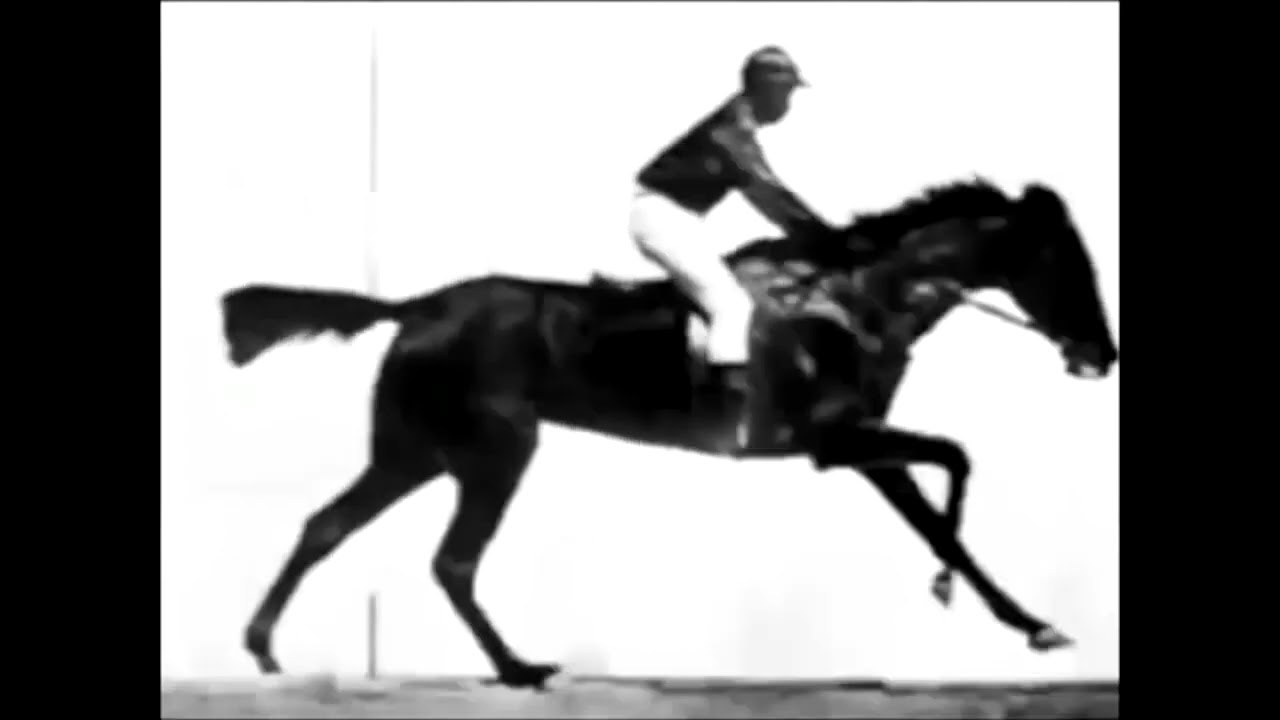 Looped Motion Study | Sallie Gardner at a Gallop (1878)