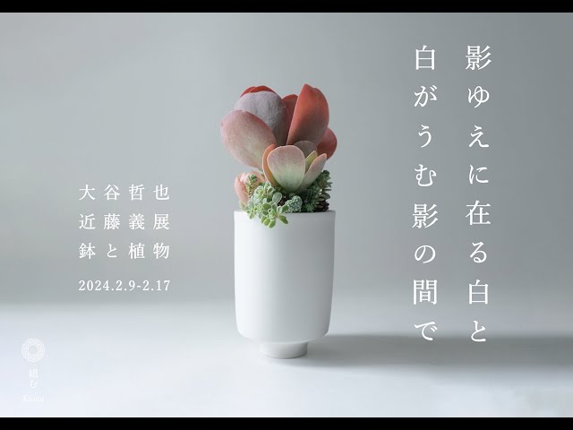 鉢と植物 大谷哲也と近藤義展 TOKIIRO - YouTube