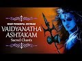 Sacred Chants for Stress Relief - Sri Vaidyanatha Ashtakam | Most Popular Shiv Mantra | Uma Mohan