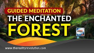 Guided Meditation The Enchanted Forest