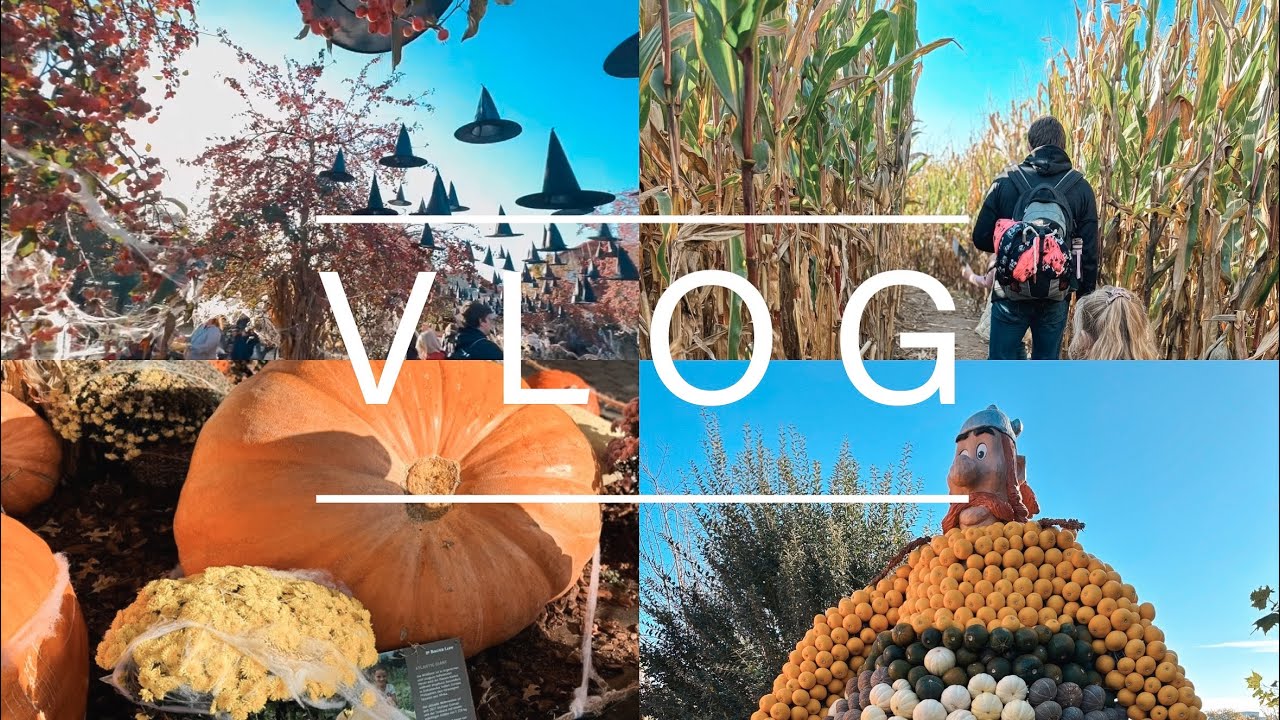 Herbst Rückblick | Bauer Lipp, Kürbis-Ausstellung & Maislabyrinth | Halloween Picknick | VLOG 495