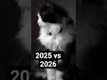 2025 🆚 2026 #timtin #layon 😽🐶