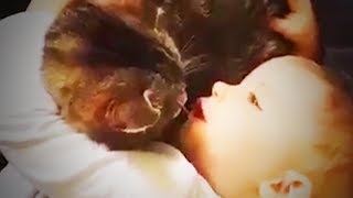 Baby and Pets 😍 Funny and Cute Babies With Pets (Part 1) [Funny Pets]