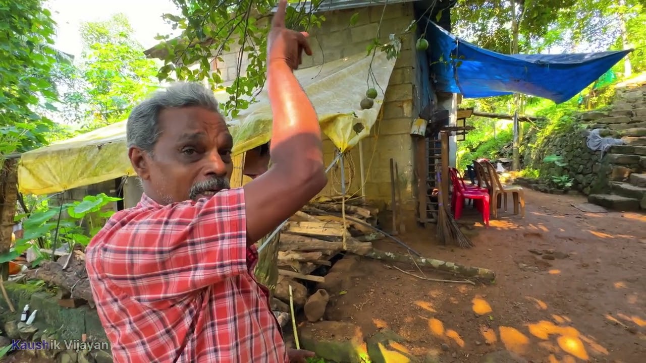 കടുവ ഇവിടെയുണ്ട് | tiger attack | perunad | pathanamthitta | vadaserikara | rrt | tiger story |tiger