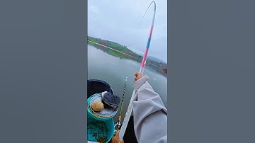 Ear-Splitting Drag Sound! | Cước rít như xé tai, phê quá trời!