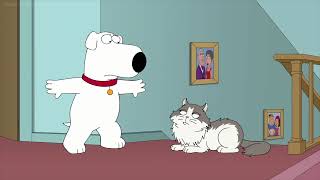 Brian Is Too Afraid To Pass Cat On Stairs - Family Guy (S19 E19)