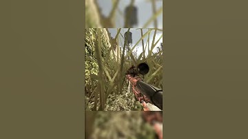 The Greatest Sniper of All Time #callofduty #mw3 #shorts