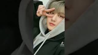 Stray Kids Pause Game