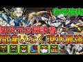 【四次元の探訪者】現状最強編成！耐性100％デイトナ編成で負けるわけない！！【パズドラ実況】