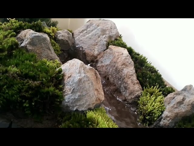 how to make a moss terrarium with a flowing stream, moss garden terrarium