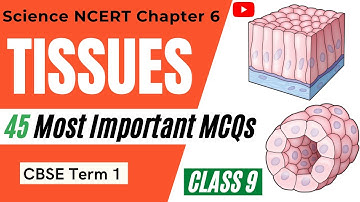 Tissues MCQ | Class 9 Science Chapter 6 MCQ | Tissue MCQ for CBSE Term 1 | Science Class 9 Ch 6 MCQ