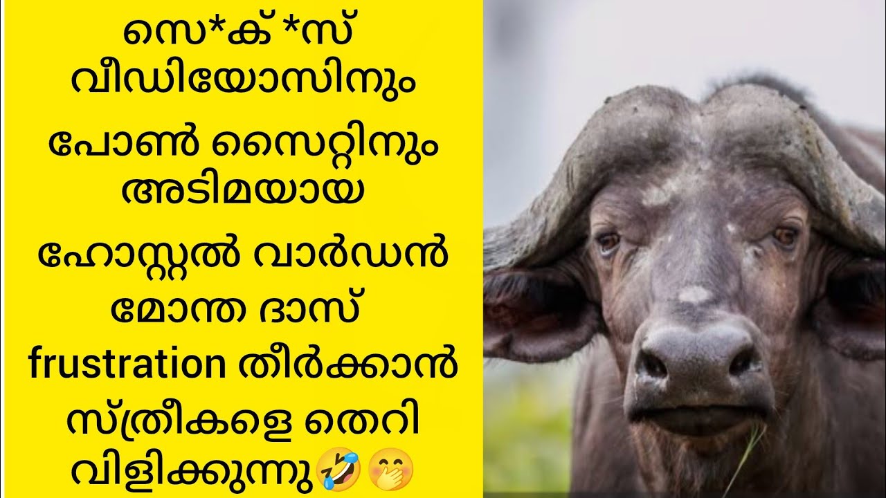 ഹോസ്റ്റൽ വാർഡൻ മോന്ത താസ്🐂എന്ന മംഗോളിയൻ പോത്തിന്റെ🐂 ലീലാവിലാസങ്ങൾ 🤭😂🐂