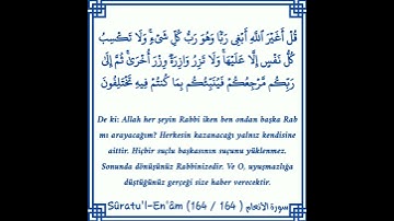 سورة الانعام | قُل اغيرَ اللهِ أبغى رباً وهو ربُّ كل شيءٍ | ياسر الدوسري