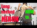 Heron Taxidermy..How to mount that long neck and legs ?..... Art of Taxidermy.