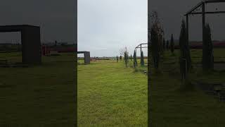 Muhly Grass Comes Out In Autumn