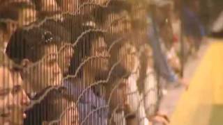 Trailer Hhl European Ivy League