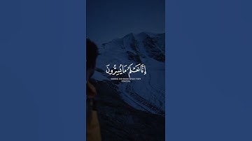 فلا يحزنك قولهم 🤍 ｜ القارئ أحمد خضر ｜ قرآن كريم