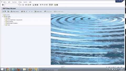 SAP GRC 10.1 PROCESS CONTROL Training | GRC ACCESS CONTROL Demo Video