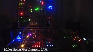 Make Noise Morphagene JAM.