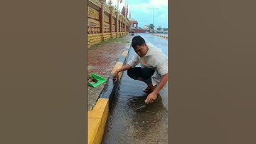 Unclog Culvert Drain After Rain #remove #unclog #drain #satisfying #shorts