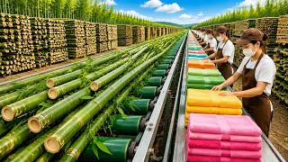 How Raw Bamboo Becomes Luxury Towels & Clothing | Full Factory Process screenshot 4