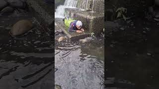 Napakalupit Ginagapang Ang Dambuhalang Karpa