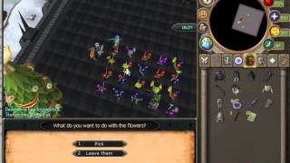 Dan Scamming 2b Boomscape