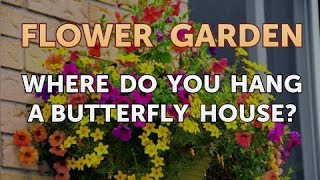 Where Do You Hang a Butterfly House?