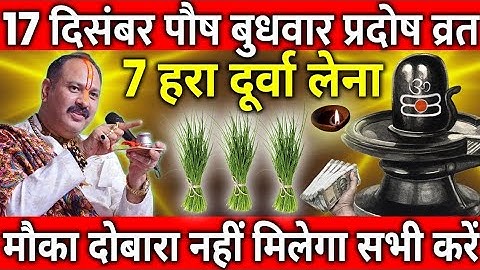 17 दिसंबर पौष बुधवार प्रदोष व्रत के दिन 7 हरा दूर्वा वाला उपाय जरुर करे || Pradeep Ji Mishra