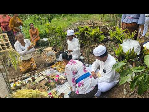 Menghaturkan Bhakti di Kebun Griya Pucaksari | Selasa, 14 September 2026