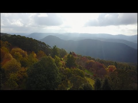 Video: Mount Tomah botaanikaaia kirjeldus ja fotod - Austraalia: Sydney