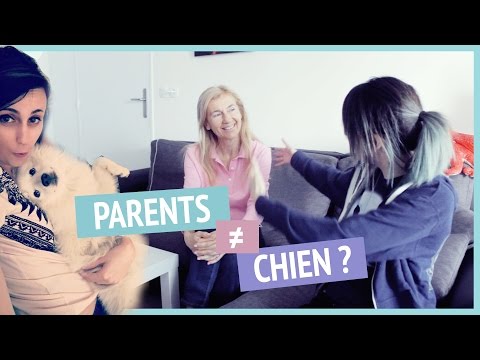 Vidéo: Comment Convaincre Maman D'acheter Un Chien